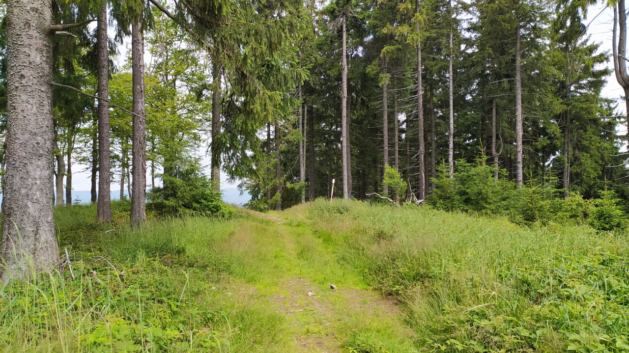 Frňovské