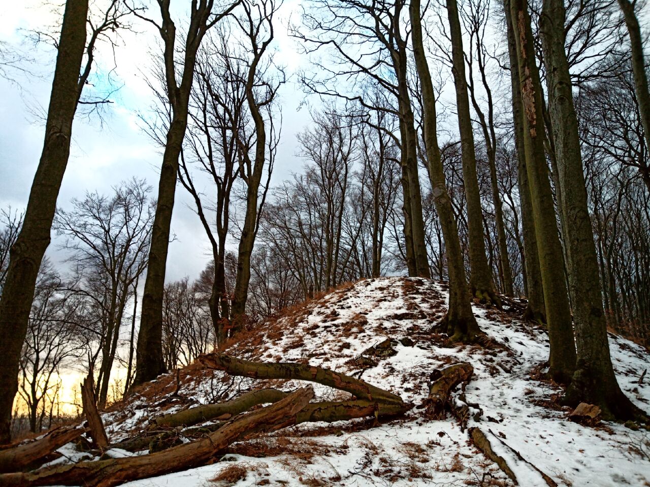 Holý kopec