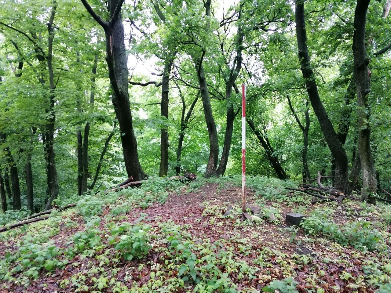 Lenivá hora (463&nbsp;m)